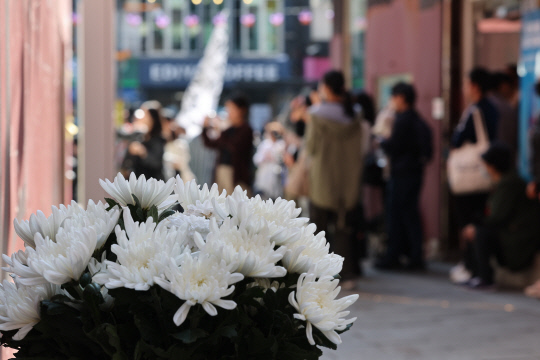 10·29 이태원 참사 1주기를 맞은 29일 오후 서울 용산구 이태원 참사 현장에 마련된 '10·29 기억과 안전의 길'의 추모 공간에 국화꽃이 놓여있다. <연합뉴스>